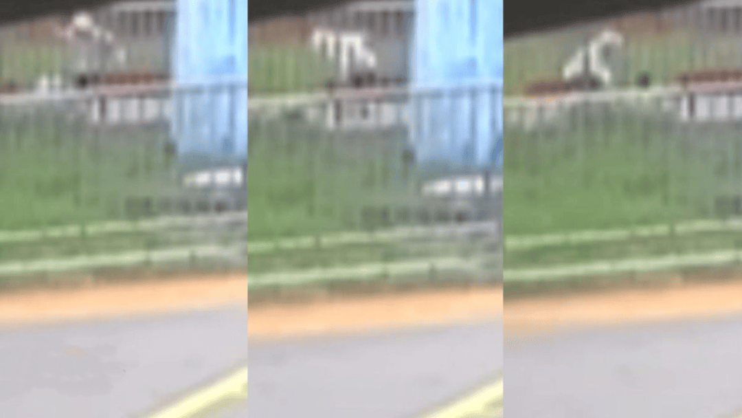 “44秒31刀”<strong></p>
<p>火币钱包</strong>，台湾残忍情杀案曝光：多次寻求复合被拒，17岁少年网购长刀当众杀害21岁前女友，已被逮捕