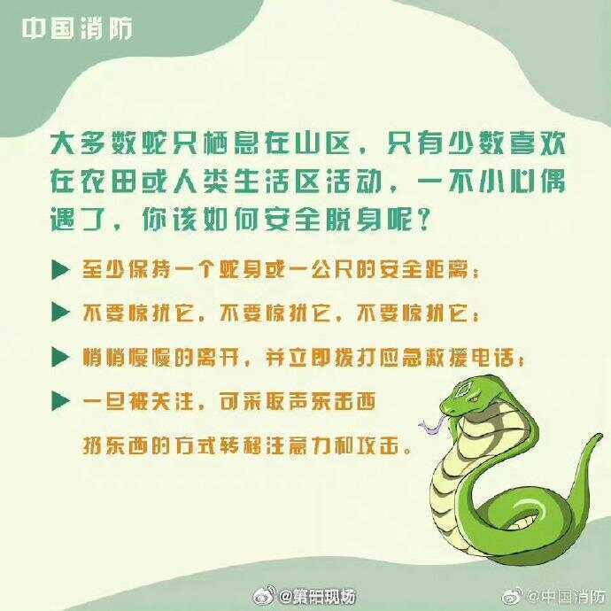 广东上演现实版贪吃蛇！汕尾惊现20斤大蟒蛇生吞牛犊；不幸遇到蛇怎么办<strong></p>
<p>火币钱包</strong>，快来看看这份手册