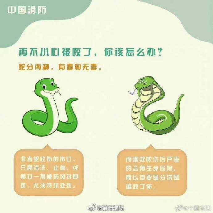 广东上演现实版贪吃蛇！汕尾惊现20斤大蟒蛇生吞牛犊；不幸遇到蛇怎么办<strong></p>
<p>火币钱包</strong>，快来看看这份手册