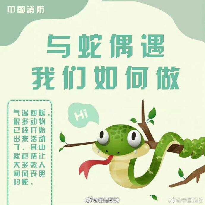 广东上演现实版贪吃蛇！汕尾惊现20斤大蟒蛇生吞牛犊；不幸遇到蛇怎么办<strong></p>
<p>火币钱包</strong>，快来看看这份手册