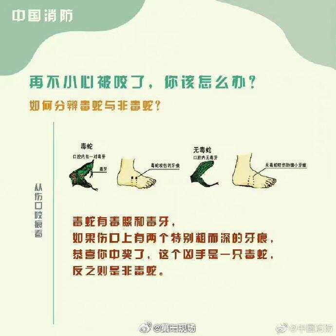 广东上演现实版贪吃蛇！汕尾惊现20斤大蟒蛇生吞牛犊；不幸遇到蛇怎么办<strong></p>
<p>火币钱包</strong>，快来看看这份手册