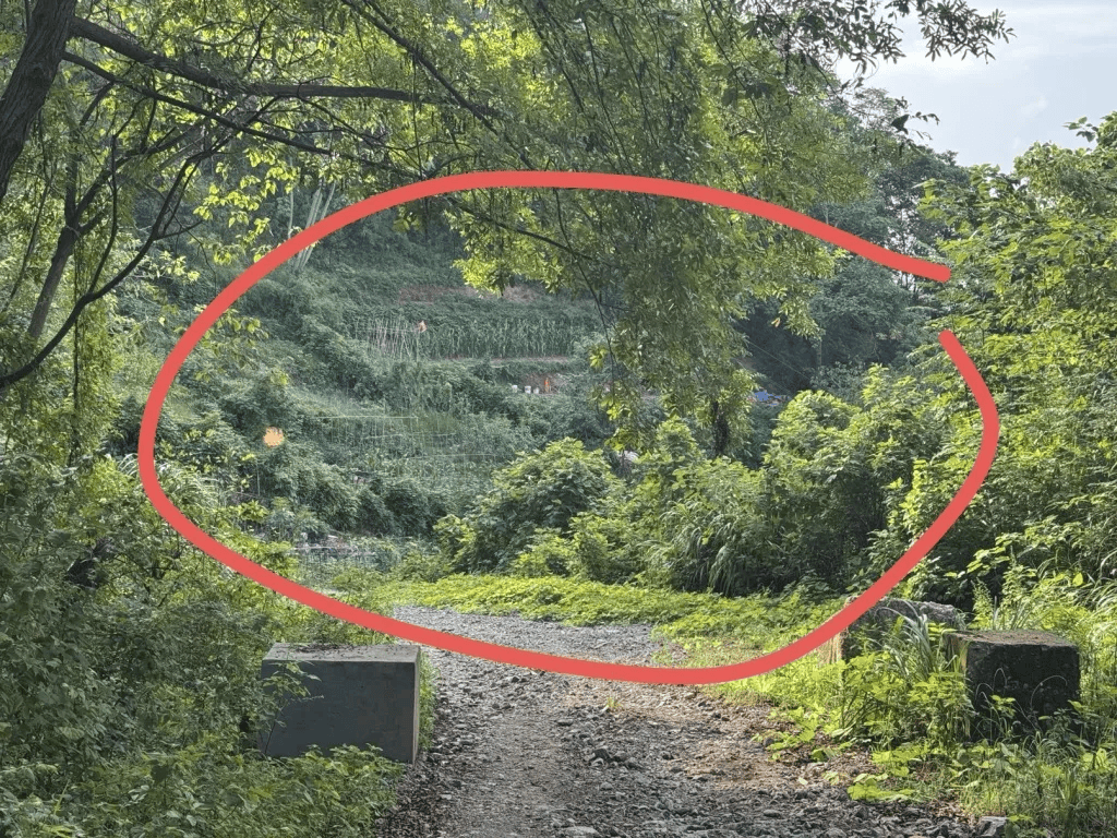杭州女子误踩“化骨水”身亡<strong></p>
<p>火币官网下载</strong>，当地：已锁定化学品所有者，发现三桶，一桶完整，两桶残余