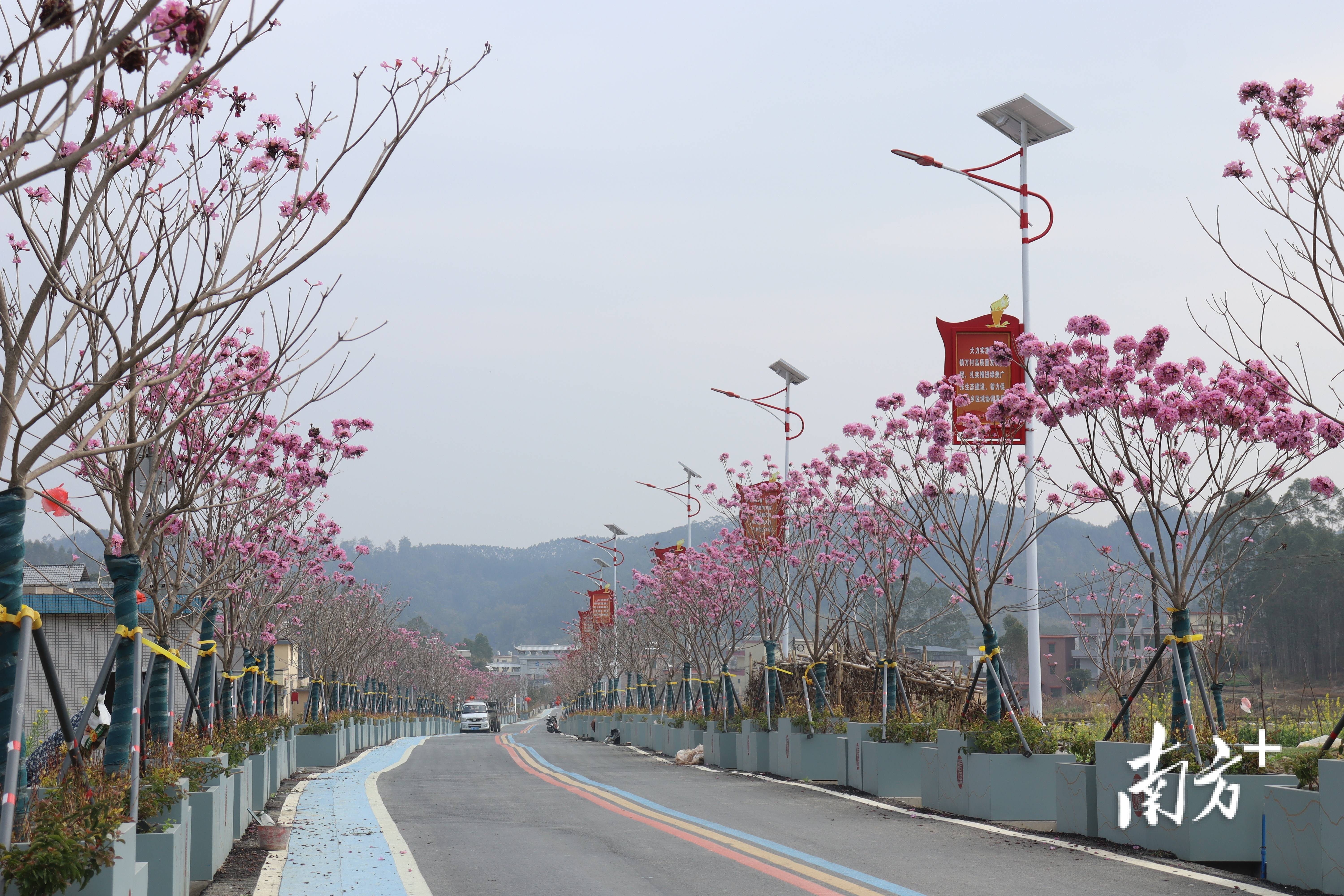 “外来媳妇”谭焕贞五年深耕<strong></p>
<p>火币交易平台</strong>，佛冈高岗宝山村换新貌