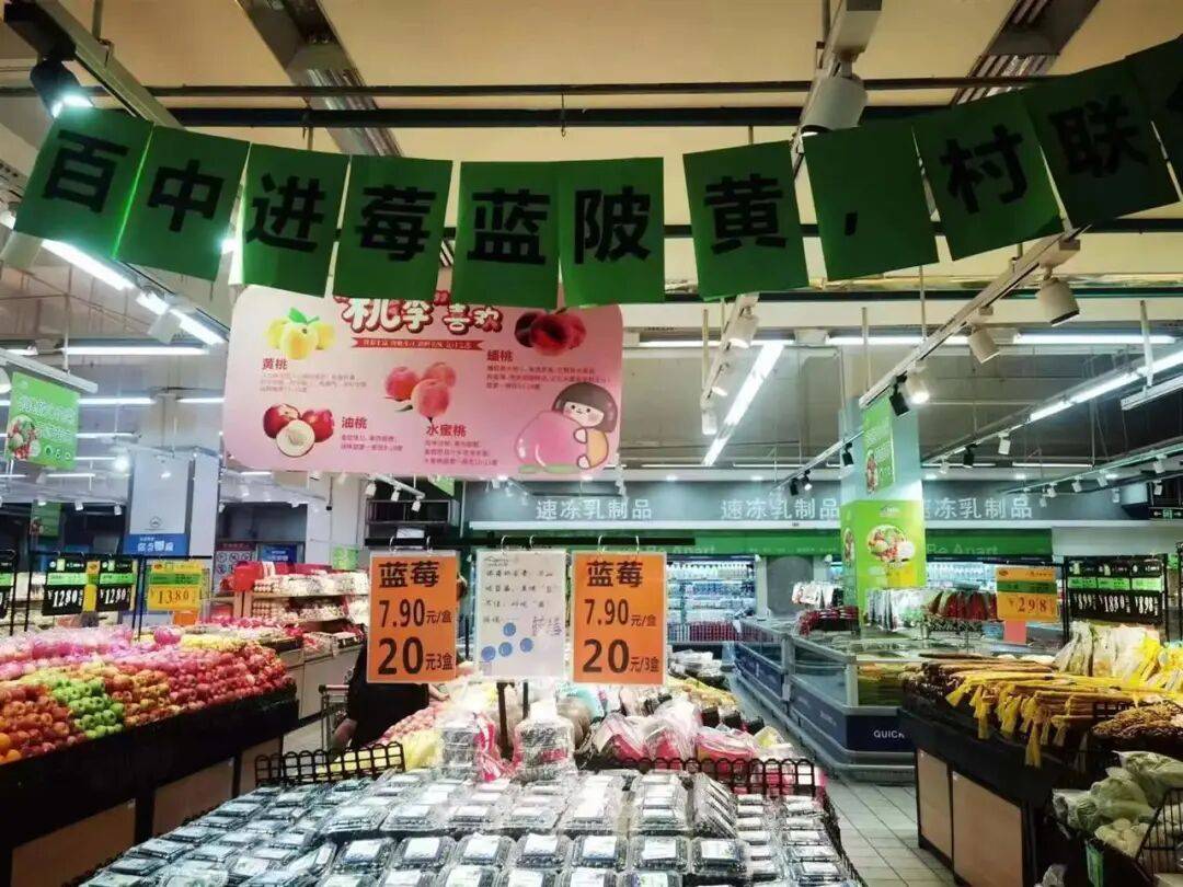 国企联村·强村富民｜一颗蓝莓激活乡村振兴<strong></p>
<p>火币交易平台</strong>，书写荒坡变宝地新篇