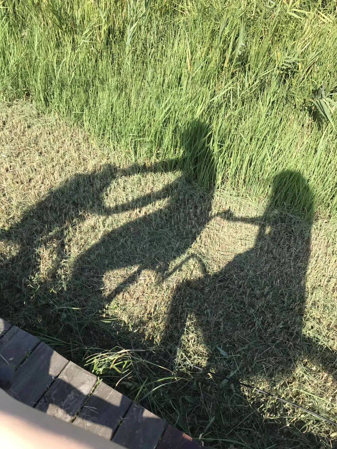 纸质火车票退场<strong></p>
<p>莱特币</strong>，每道折痕里都藏着远方、爱情与山河记忆