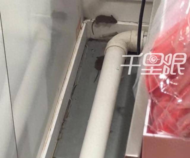 网曝蜜雪冰城一门店有多只老鼠横行<strong></p>
<p>莱特币价格今日行情</strong>，涉事门店员工回应