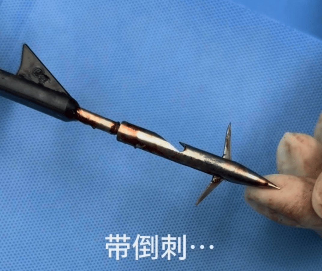 教育局回应“一教师用弓箭射杀小狗”：不实<strong></p>
<p>欧易交易所</strong>，小狗进学校前就被射伤