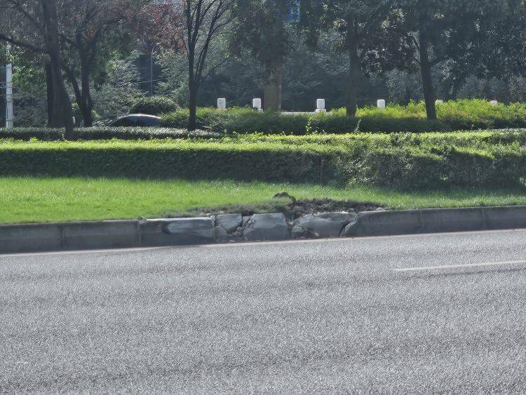 成都发生一起严重交通事故<strong></p>
<p>欧易下载</strong>，上游新闻实地探访：燃烧留下的印记仍在