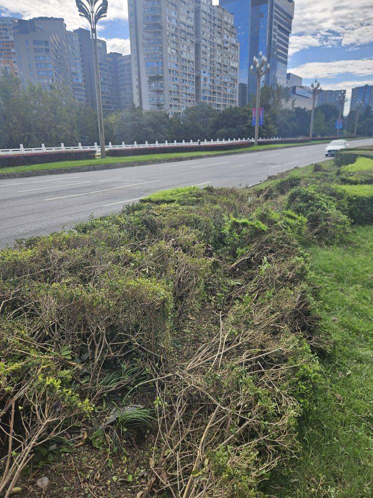 成都发生一起严重交通事故<strong></p>
<p>欧易下载</strong>，上游新闻实地探访：燃烧留下的印记仍在