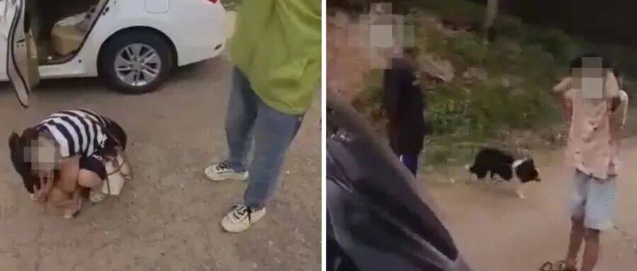 深圳一市民突遭马蜂围袭！已进入高发期<strong></p>
<p>欧易下载</strong>，千万别招惹！