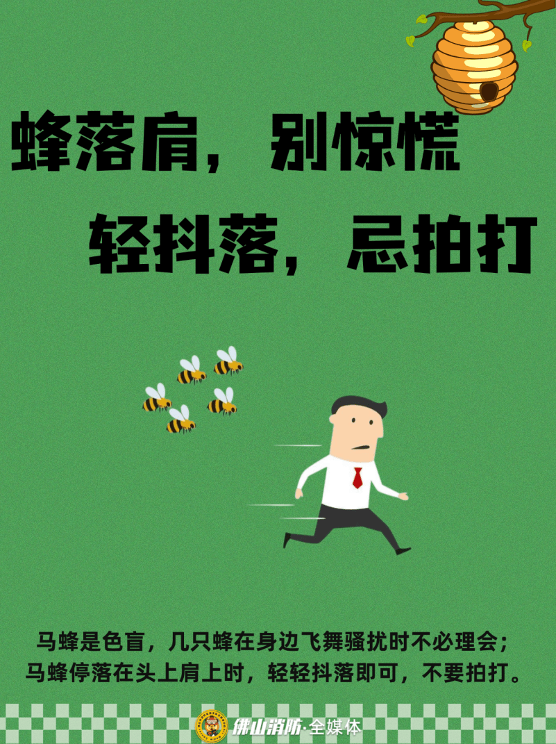 深圳一市民突遭马蜂围袭！已进入高发期<strong></p>
<p>欧易下载</strong>，千万别招惹！