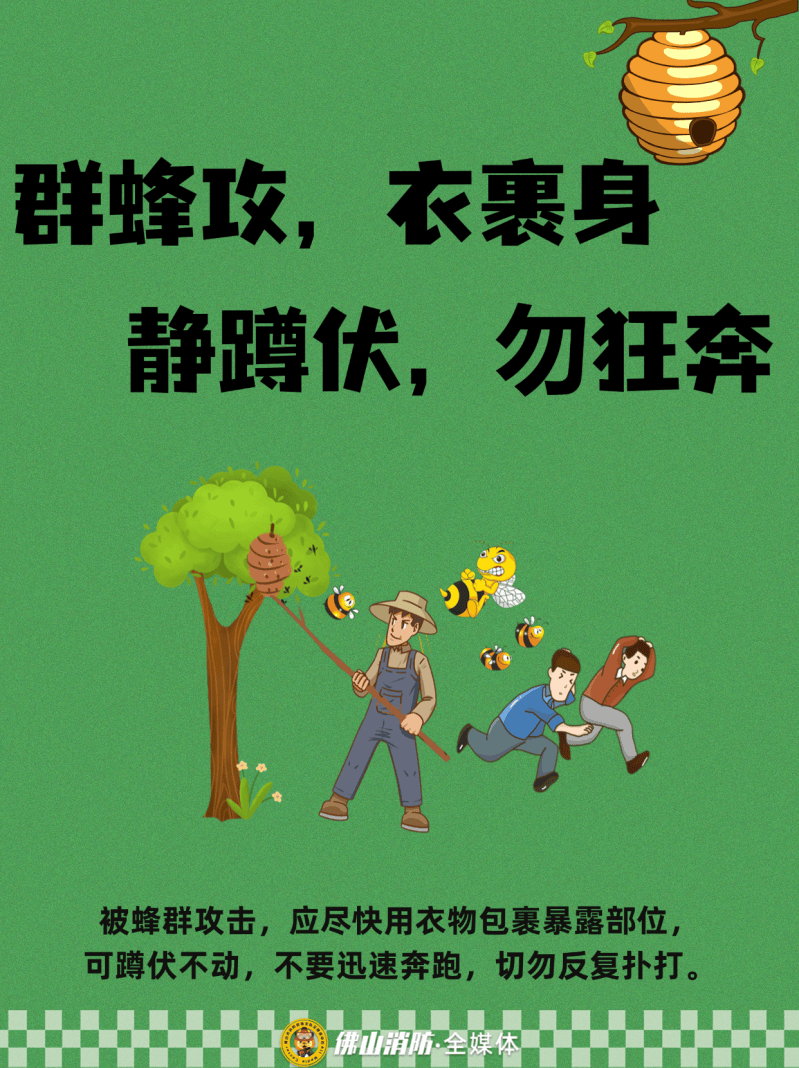 深圳一市民突遭马蜂围袭！已进入高发期<strong></p>
<p>欧易下载</strong>，千万别招惹！