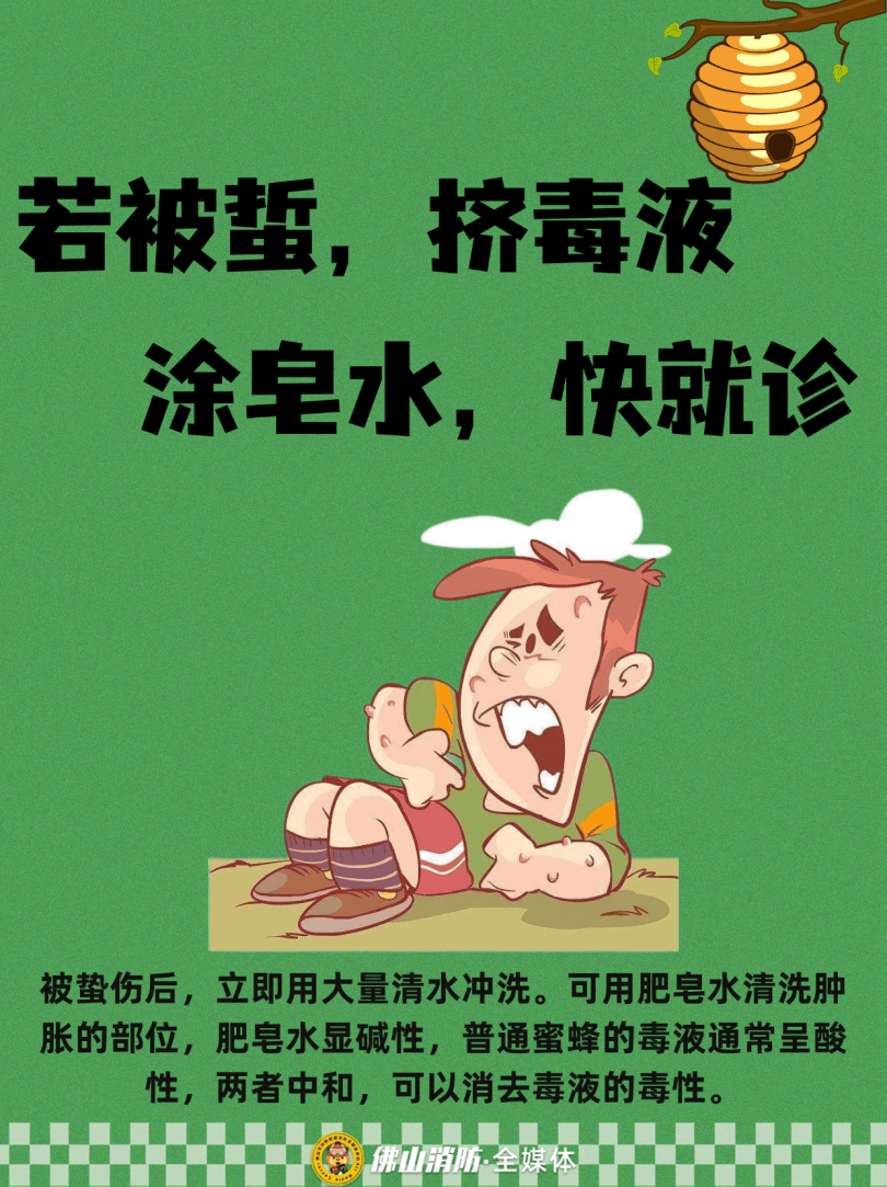 深圳一市民突遭马蜂围袭！已进入高发期<strong></p>
<p>欧易下载</strong>，千万别招惹！