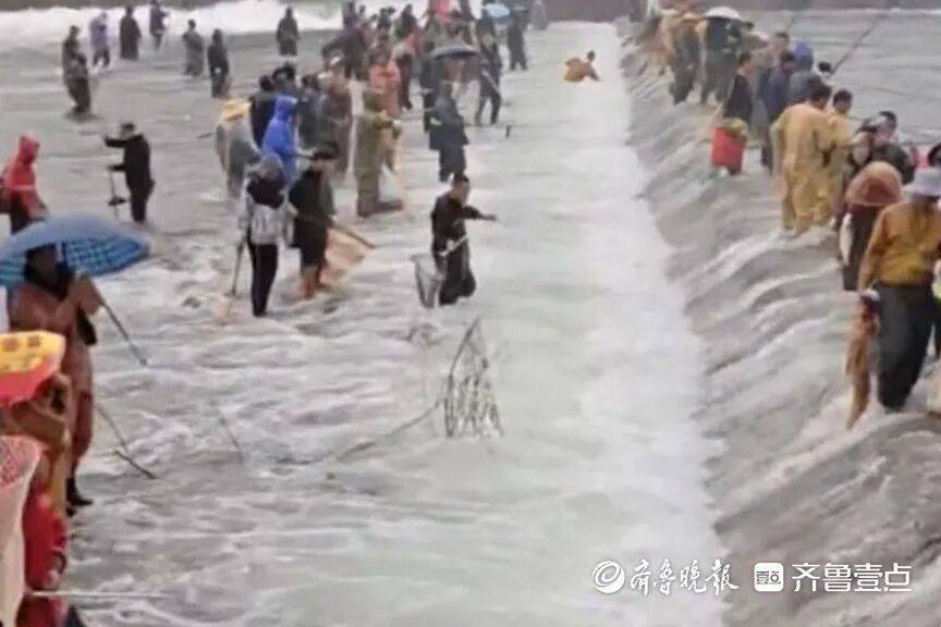 “鱼多得数不过来<strong></p>
<p>欧易app</strong>，一网子下去能捞好几条”济南锦绣川水库开闸放水，大量鲢鱼被冲出，工作人员：禁止捕捞！