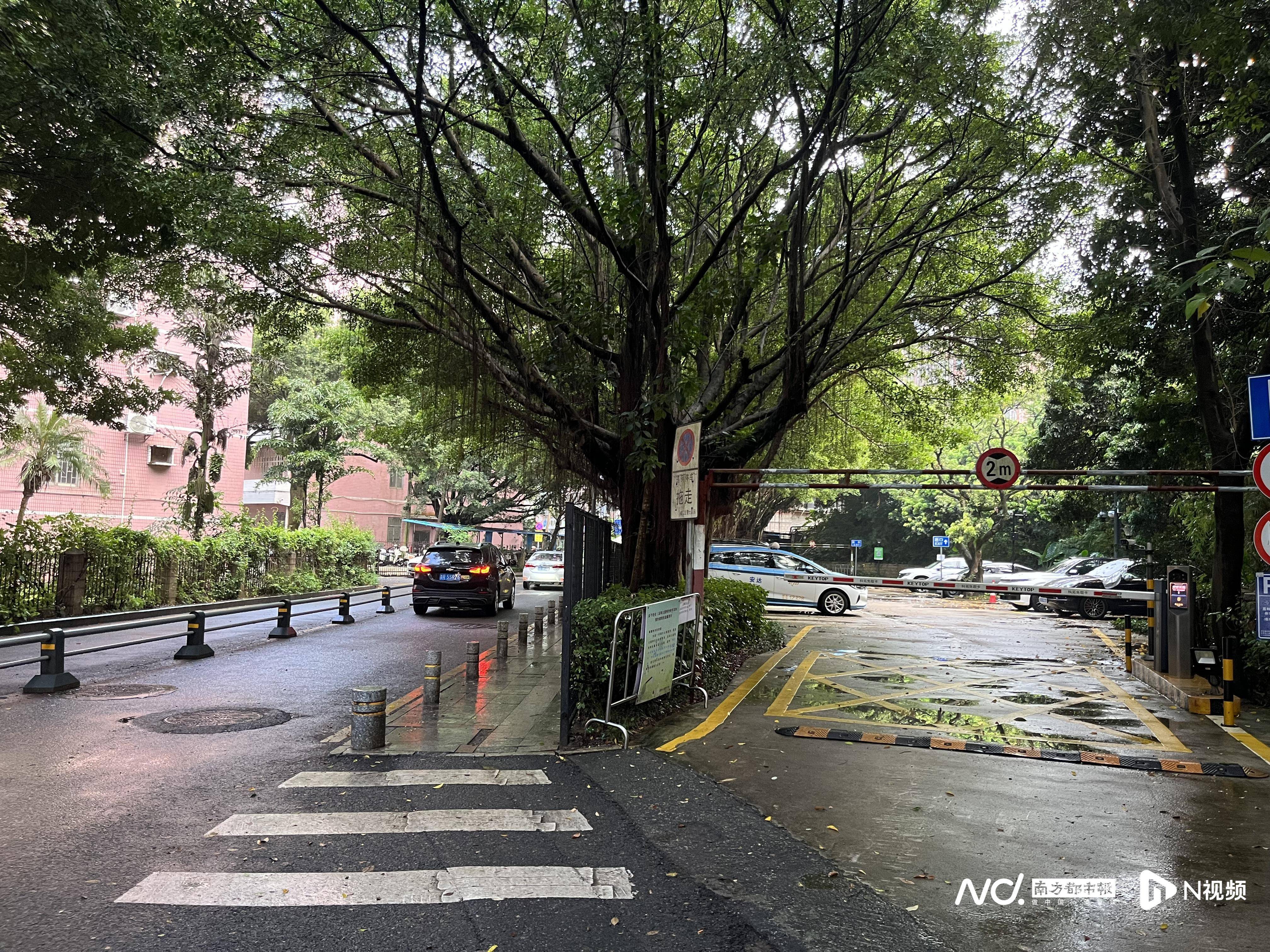 深圳一小区电动车管理引担忧<strong></p>
<p>欧易app</strong>，部门责令整改后，记者实探