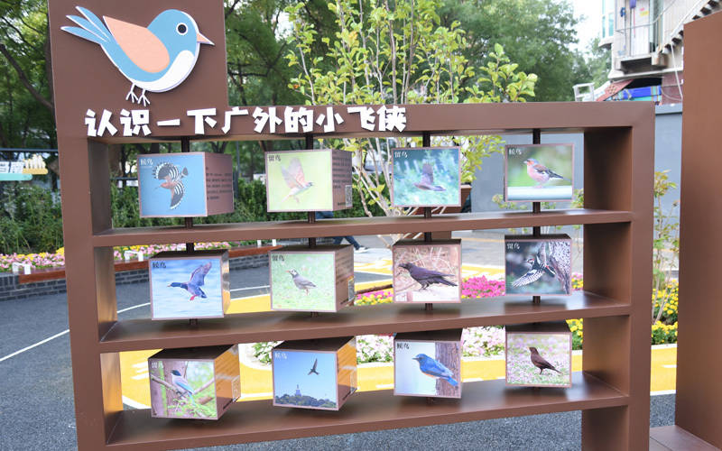 西城区广外街道：“断头路”变身口袋公园<strong></p>
<p>欧易交易所app下载</strong>，装满民生“微幸福”