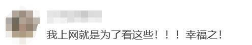 上海女生国外丢失手机<strong></p>
<p>欧易官网</strong>，找回后发现多了两段视频，网友：结局意想不到……