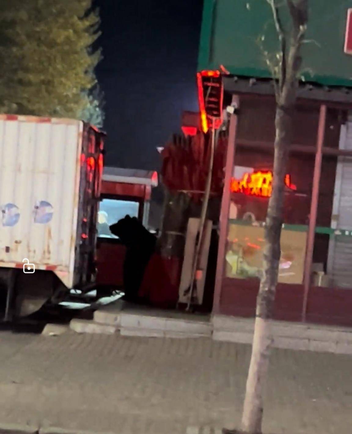 大黑熊夜里独闯黑龙江一县城闹市区<strong></p>
<p>欧易交易平台</strong>，警方连开10多枪击毙，回应为何没用麻醉枪