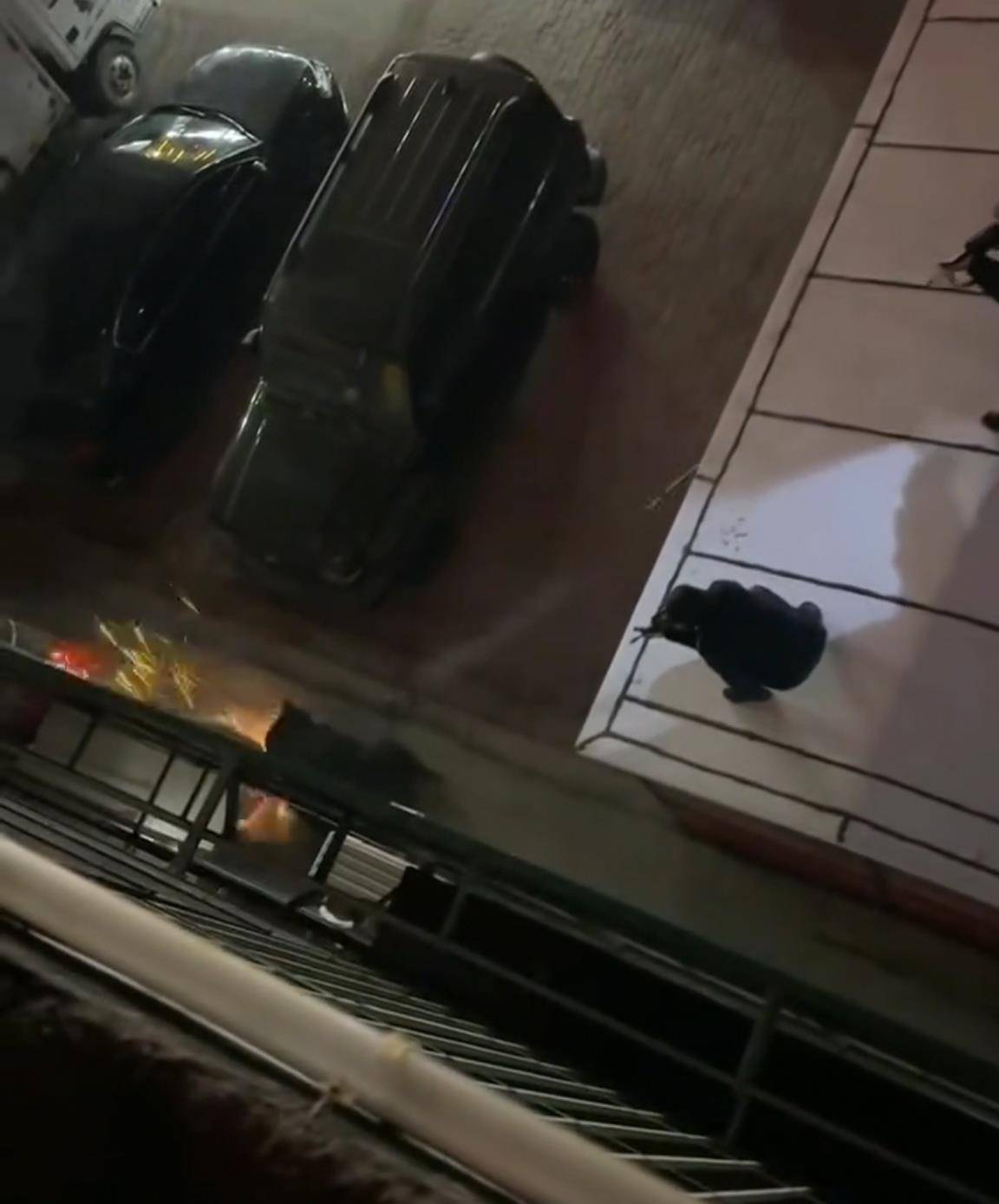 大黑熊夜里独闯黑龙江一县城闹市区<strong></p>
<p>欧易交易平台</strong>，警方连开10多枪击毙，回应为何没用麻醉枪