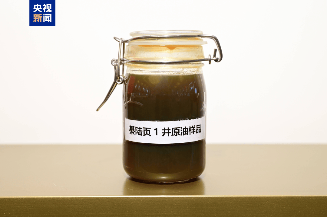 我国发现亿吨级页岩油资源<strong></p>
<p>易欧</strong>!