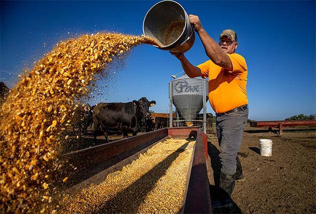 又输给了李成钢<strong></p>
<p>易欧app</strong>,贝森特承诺:美方不再考虑对华加征100%关税