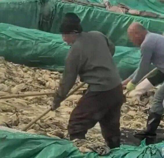 男子在酸菜池内抽烟吐痰<strong></p>
<p>欧易平台</strong>,官方通报!