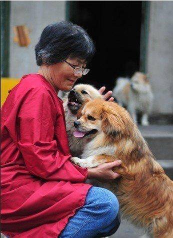 合肥卖房救助流浪狗的魏阿姨离世<strong></p>
<p>欧易okex下载</strong>，病中仍然惦记着基地的600只流浪狗，工人：不敢相信世上还有这样执着的人