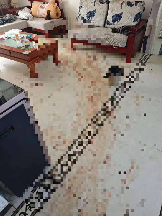 “女子出租屋遭男友持刀杀害”案明日开庭<strong></p>
<p>欧易okex</strong>，家属发声：凶手从未道歉，我们不会谅解