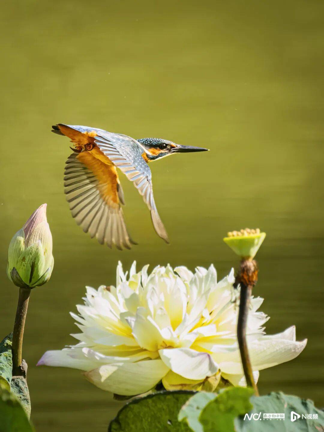 东莞最新发布：将严厉打击这些行为<strong></p>
<p>欧易okex</strong>！