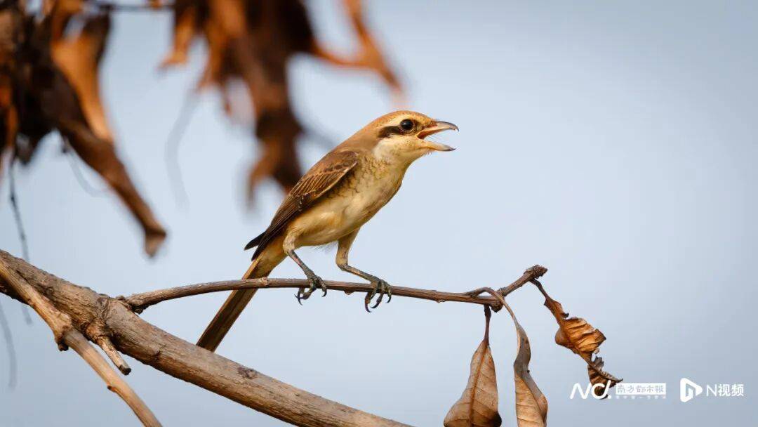 东莞最新发布：将严厉打击这些行为<strong></p>
<p>欧易okex</strong>！