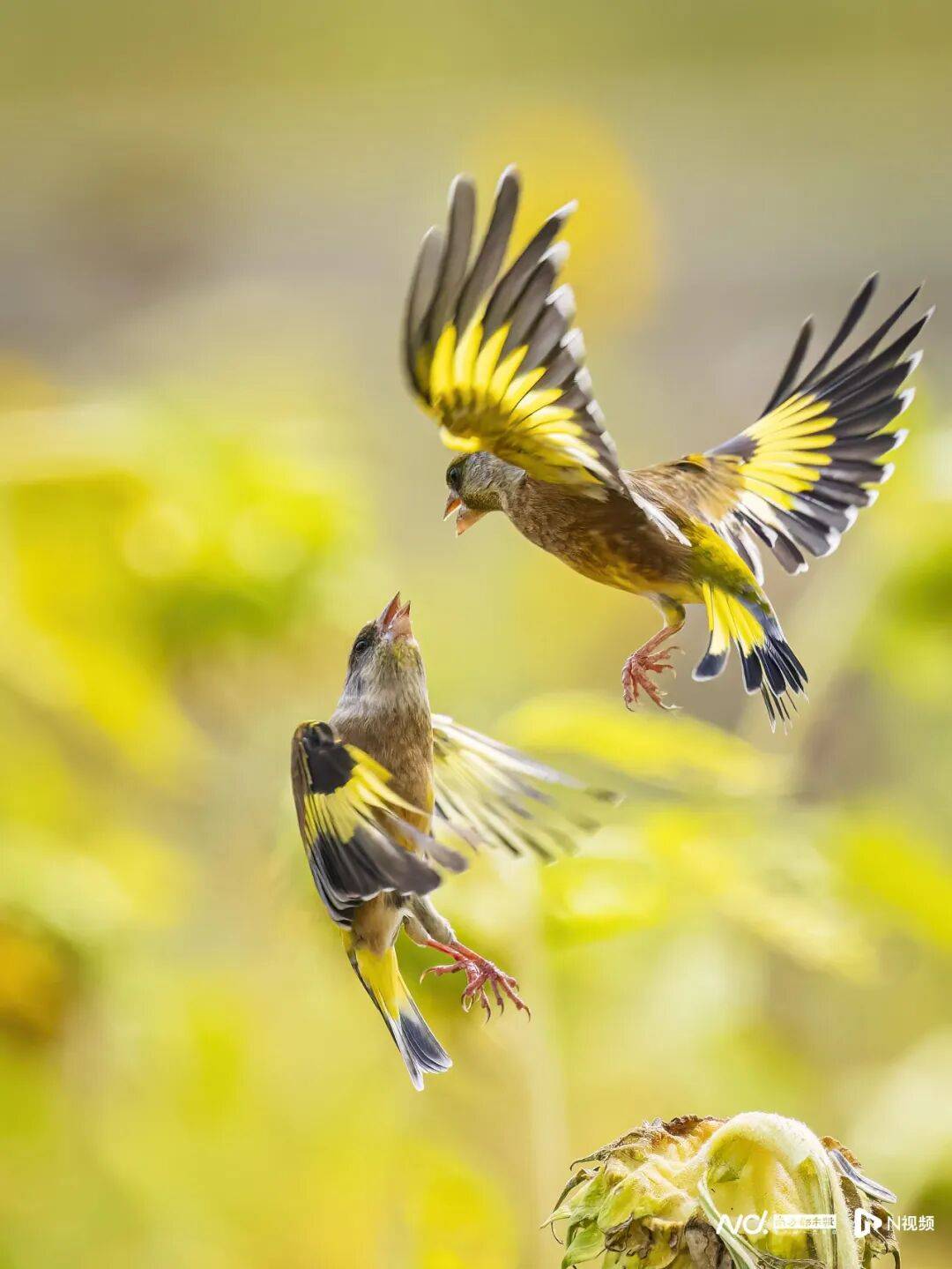 东莞最新发布：将严厉打击这些行为<strong></p>
<p>欧易okex</strong>！