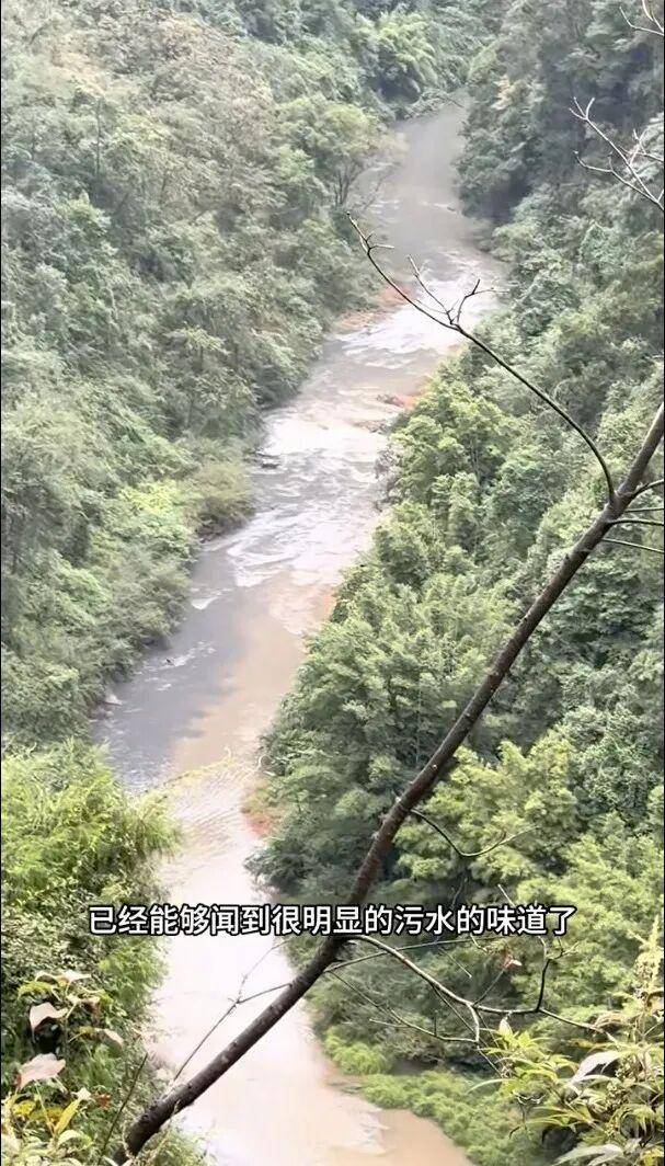 重庆通报：坚决查处<strong></p>
<p>欧易网</strong>，绝不姑息