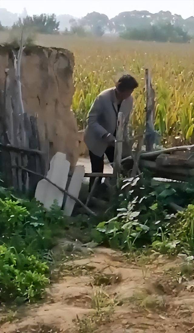 陕西一女子疑因拍亲姑姑偷玉米遭姑父棍杀<strong></p>
<p>欧易OK</strong>，邻居欲报警也遇害