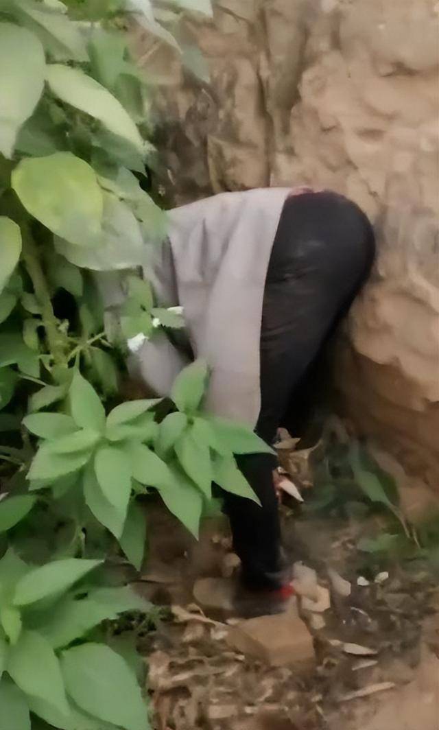 陕西一女子疑因拍亲姑姑偷玉米遭姑父棍杀<strong></p>
<p>欧易OK</strong>，邻居欲报警也遇害