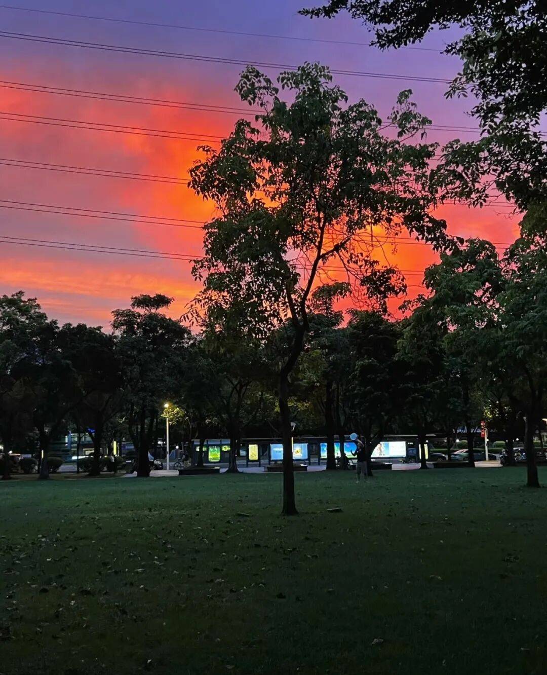 第一批丁克老后<strong></p>
<p>欧易OK</strong>，“伴侣能陪一程，但最后都要靠自己”