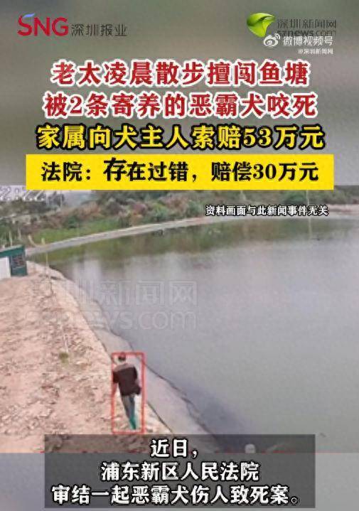 老太凌晨擅闯鱼塘被2条恶霸犬咬死<strong></p>
<p>欧易OK</strong>，家属索赔53万，法院判决！