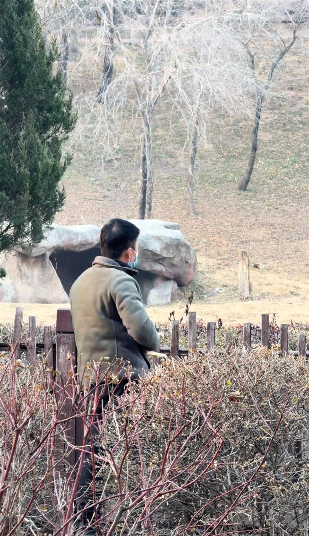 沈阳一男子动物园内用弹弓射老虎<strong></p>
<p>欧易靠谱吗</strong>，目击者称其“填装了弹丸”，打完后老虎爬起来了，园方：正在核实情况