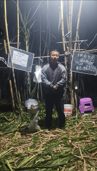 四川眉山自助“偷甘蔗”老板称有人只“偷”不给钱<strong></p>
<p>欧易靠谱吗</strong>，当地文旅：已安排人员现场协调