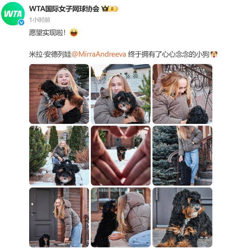 “小米辣”终于有了自己的小狗！曾说养狗是赢球的动力<strong></p>
<p>欧意官网</strong>，WTA官方发“贺信”：愿望实现啦！