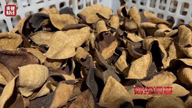 30天速成陈皮<strong></p>
<p>数字货币交易所</strong>，成本仅70元，利润超成本10倍以上！央视起底陈皮跨省造假产业链