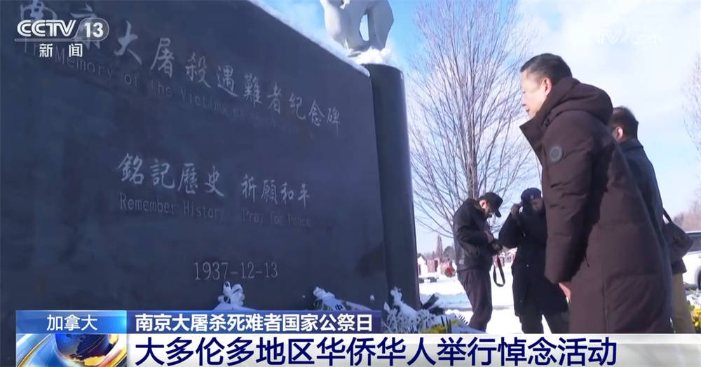 南京大屠杀死难者国家公祭日 多国华侨华人举行悼念活动