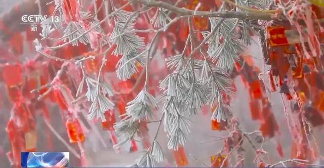 我国已经进入拉尼娜状态<strong></p>
<p>数字货币交易所</strong>，专家：可能出现冬春连旱