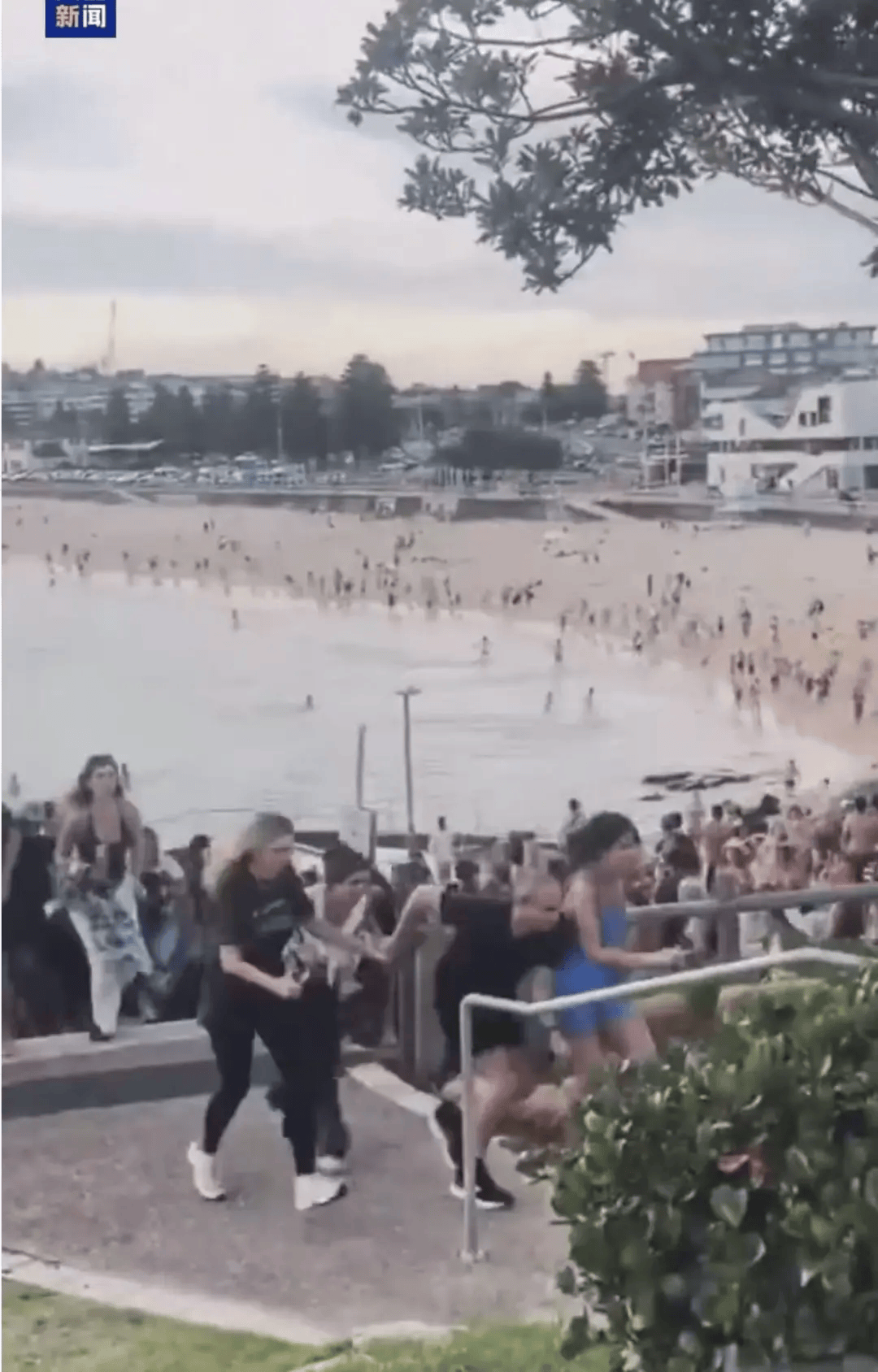 澳大利亚海滩枪击事件两名枪手为父子关系<strong></p>
<p>数字货币交易所</strong>，父亲50岁，儿子24岁！一名路人冒险夺枪反击，身中两弹，需接受手术