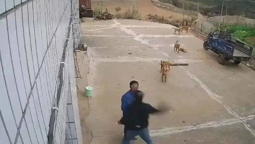 男子家门口吃橘子被邻居一拳打昏<strong></p>
<p>数字货币交易平台开发</strong>，警方通报：因养狗问题起冲突，均有受伤