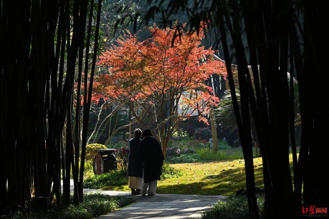 我国已进入拉尼娜状态<strong></p>
<p>数字货币交易</strong>！四川今冬或“前暖后冷”