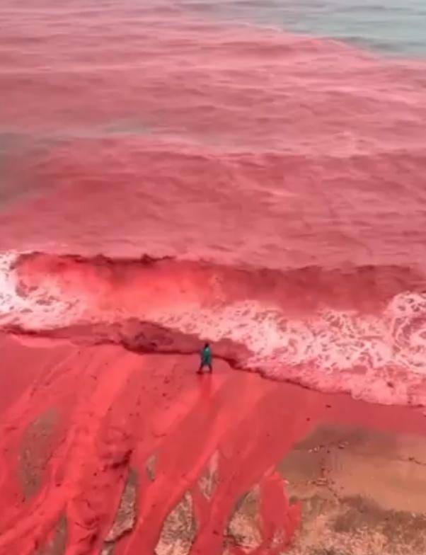 罕见！伊朗霍尔木兹岛遭遇强降雨<strong></p>
<p>数字化货币</strong>，部分海域变成“血色海洋”
