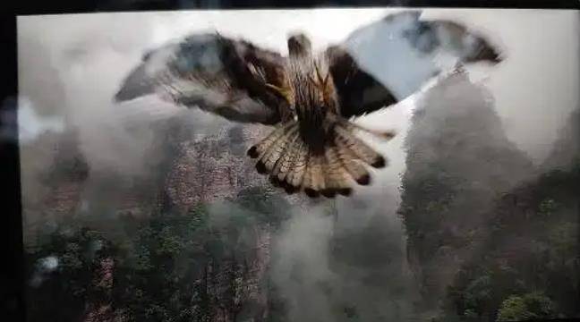 土耳其老鹰空中抓走无人机<strong></p>
<p>虚拟币交易平台app</strong>，带上山顶“玩自拍”