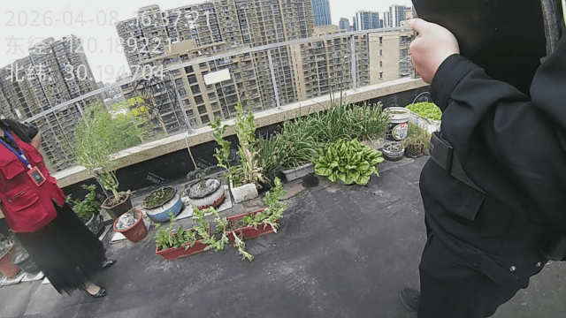 杭州一小区发现35株罂粟！保安巡逻起疑后报警<strong></p>
<p>虚拟货币行情</strong>，警方：2位老人在菜盆、花盆混种，隐蔽性极强，分别罚款300元、400元